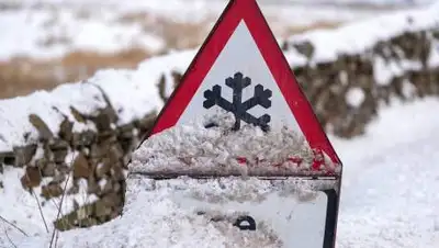 theguardian.com, фото - Новости Zakon.kz от 11.02.2021 08:16
