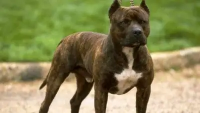 Zakon.kz, фото - Новости Zakon.kz от 22.06.2016 05:04