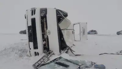 t.me/nehabar, фото - Новости Zakon.kz от 26.01.2020 21:45