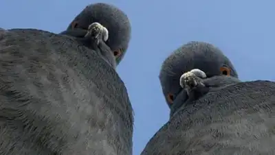 Zakon.kz, фото - Новости Zakon.kz от 03.10.2017 06:59