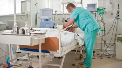 Zakon.kz, фото - Новости Zakon.kz от 07.11.2017 09:13