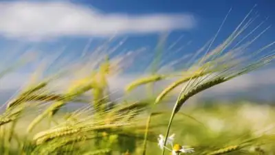 Zakon.kz, фото - Новости Zakon.kz от 23.08.2016 12:00