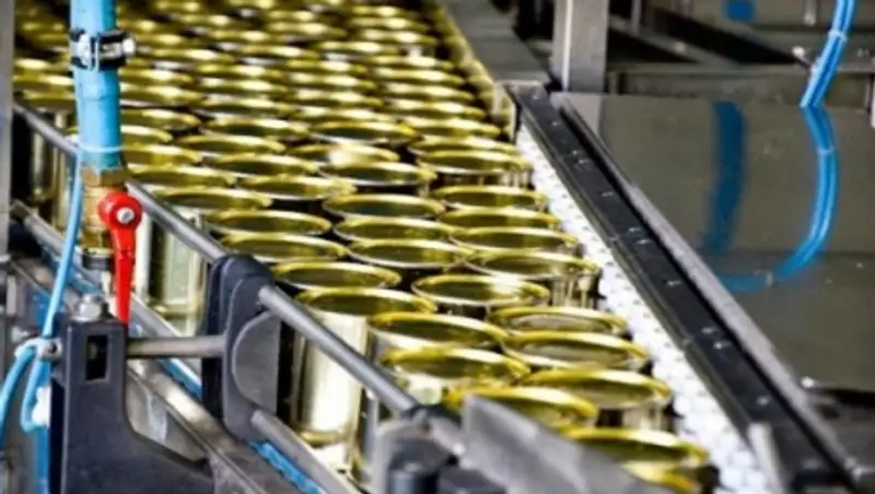 Мясо заболевших под Жезказганом коров хотят отправить на консервы