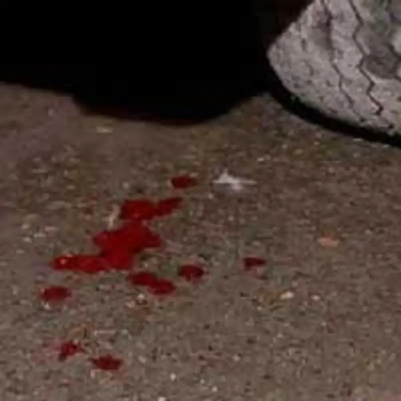 В Алматы водитель автобуса сбил насмерть женщину и протаранил фасад магазина, фото - Новости Zakon.kz от 14.05.2013 16:22