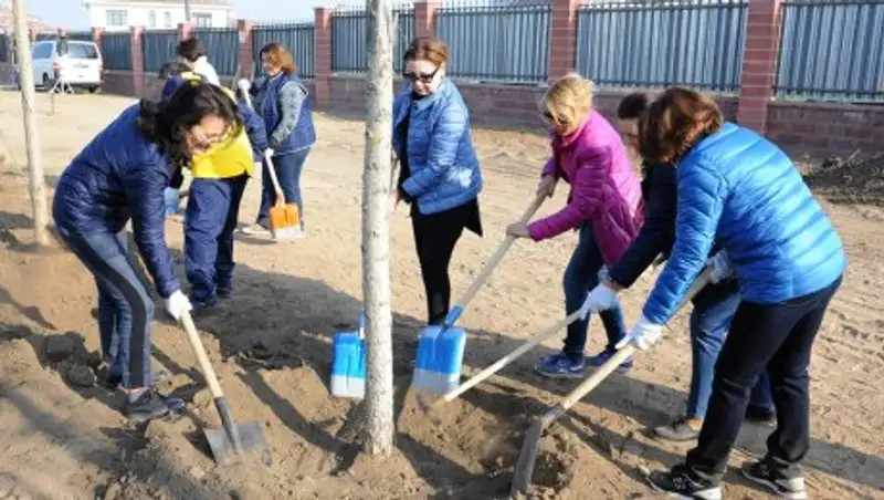 50 тысяч деревьев планируется высадить этой осенью в Уральске