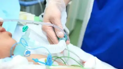 NervovNet.com, фото - Новости Zakon.kz от 01.02.2018 15:41