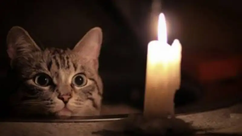 Названа причина перебоев со светом в Атырауской и Мангистауской областях