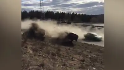 Скриншот с видео, фото - Новости Zakon.kz от 14.04.2019 02:00