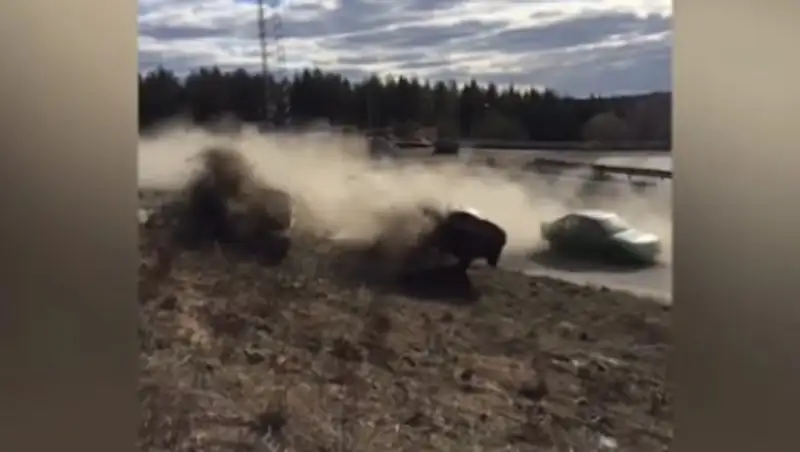 В Швеции гоночный автомобиль въехал в толпу зрителей