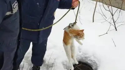 yk-news.kz, фото - Новости Zakon.kz от 24.01.2021 18:19