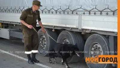 mgorod.kz, фото - Новости Zakon.kz от 13.07.2018 14:13