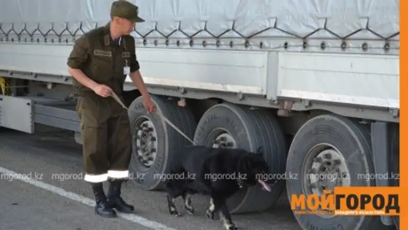 Житель ЗКО пытался вывезти по чужим документам автомобиль в Россию