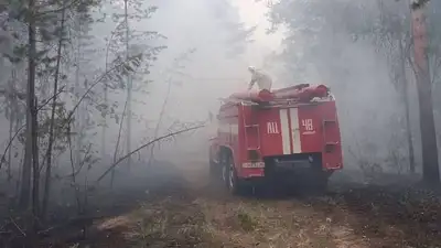 Как спасатели тушат пожар в Абайской области