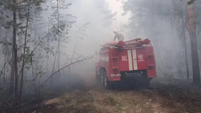 Как спасатели тушат пожар в Абайской области