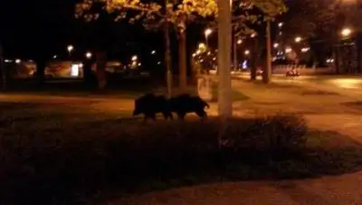 Zakon.kz, фото - Новости Zakon.kz от 03.05.2015 02:05