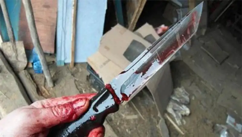 Отрезанную голову и ноги обнаружили на обочине кладбища в Шымкенте