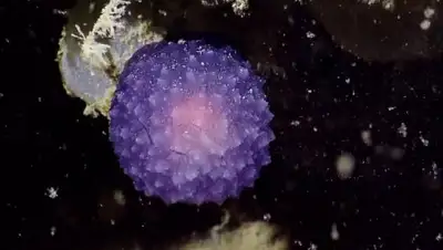 Zakon.kz, фото - Новости Zakon.kz от 29.07.2016 05:18