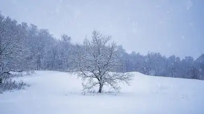штормовое предупреждение, фото - Новости Zakon.kz от 23.01.2023 20:02