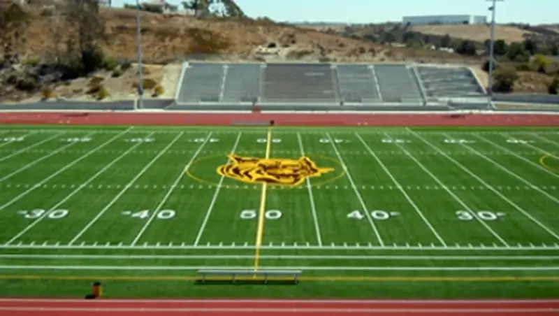 Гигантскую свастику обнаружили на одном из школьных стадионов в США