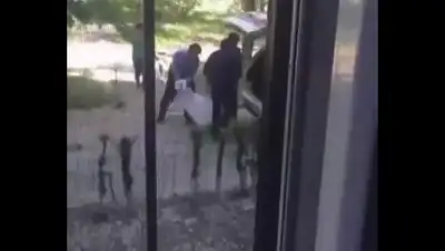 Zakon.kz, фото - Новости Zakon.kz от 10.05.2017 22:57