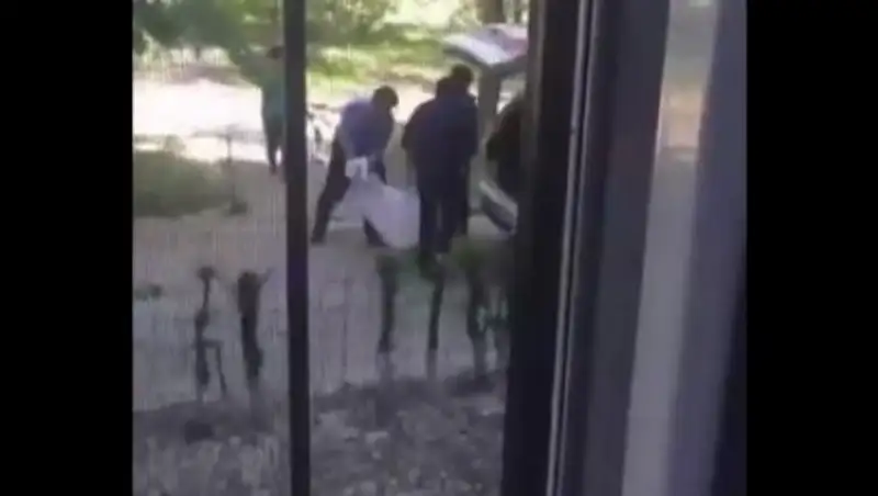 Талдықорғанда аулада ішімдік ішіп отырған ер адам кенеттен көз жұмды