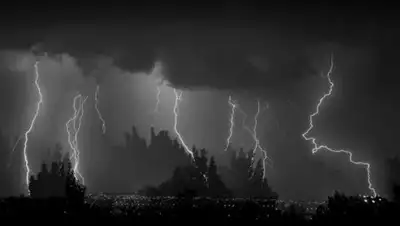 Zakon.kz, фото - Новости Zakon.kz от 28.04.2017 12:57