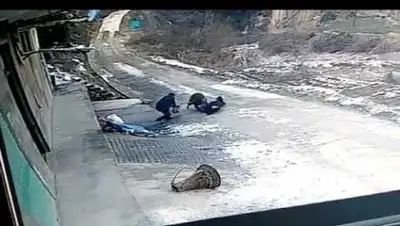 Zakon.kz, фото - Новости Zakon.kz от 04.02.2018 18:15