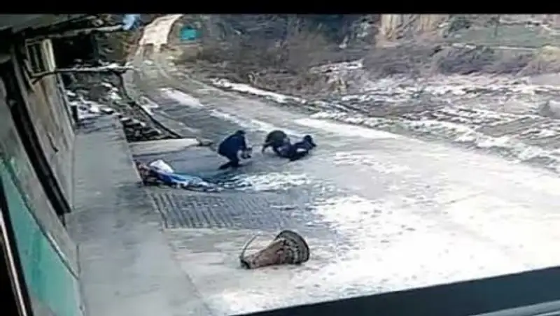 В Сети появилось видео нападения дикого кабана на пенсионера в Китае