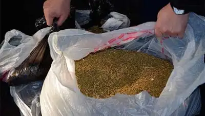 Zakon.kz, фото - Новости Zakon.kz от 28.03.2014 22:46