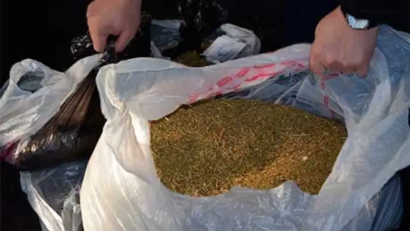 В Петропавловске сожгли крупную партию наркотиков