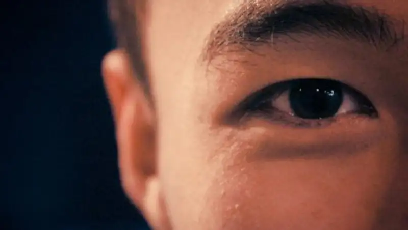 Зачем нужны ресницы и брови