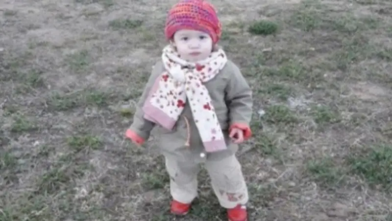 Поиски двухлетней девочки Эллины: Поисковые собаки указывают на воду