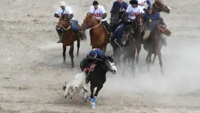 Zakon.kz, фото - Новости Zakon.kz от 10.05.2017 01:19