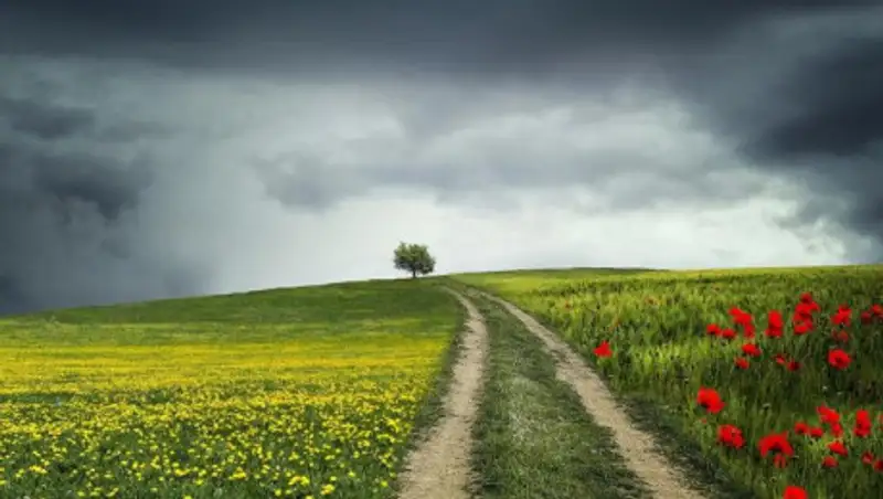 19 июля на большей части РК пройдут кратковременные дожди с грозами