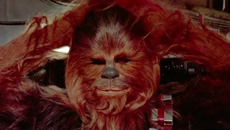 В Одессе в день выборов задержали Чубакку