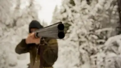 © Fotolia / dimson95, фото - Новости Zakon.kz от 06.02.2018 14:01