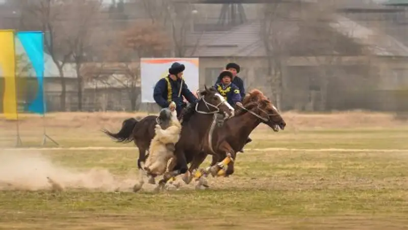 В ЮКО проходят национальные соревнования по конному спорту в честь А. Аскарова