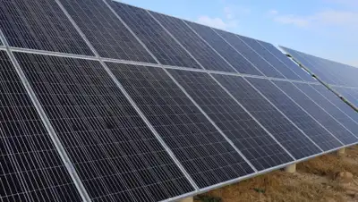 Якова Фёдорова, фото - Новости Zakon.kz от 21.11.2019 10:08