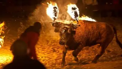 Турпром, фото - Новости Zakon.kz от 21.08.2018 19:57