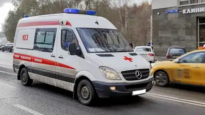 Zakon.kz, фото - Новости Zakon.kz от 20.11.2017 17:43