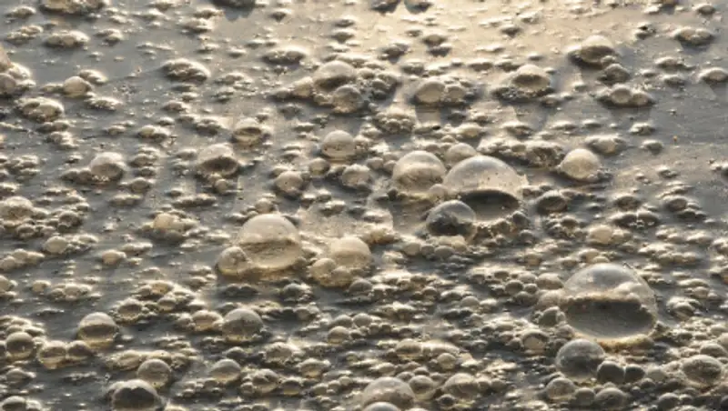 В Алматинской области из-за дождя подтопило село