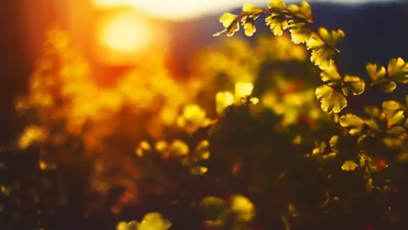 В воскресенье в Казахстане ожидается погода без осадков