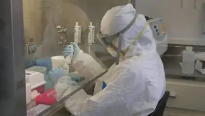 pixnio.com, фото - Новости Zakon.kz от 16.03.2021 11:28