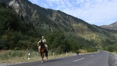 доплаты работникам лесного и рыбного хозяйства, фото - Новости Zakon.kz от 17.03.2022 11:42