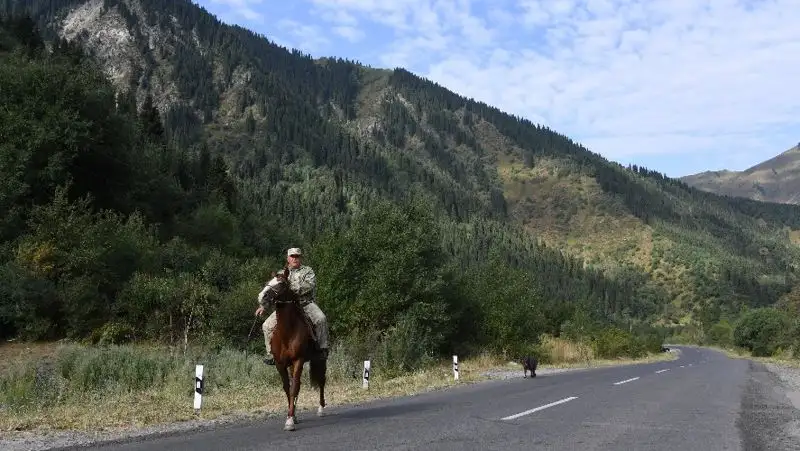 Бюджетникам в сфере лесного, рыбного и охотничьего хозяйства установили доплаты и надбавки