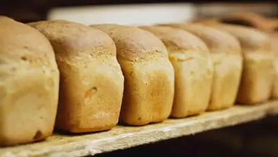 пресс-служба, фото - Новости Zakon.kz от 30.10.2019 16:47