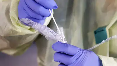 Chip Somodevilla / Getty Images, фото - Новости Zakon.kz от 26.03.2020 16:22