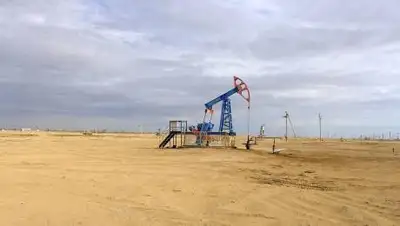 pixabay.com, фото - Новости Zakon.kz от 14.06.2021 14:14