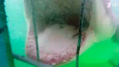 Zakon.kz, фото - Новости Zakon.kz от 03.07.2015 16:30