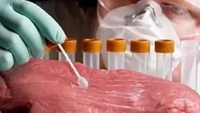 Zakon.kz, фото - Новости Zakon.kz от 20.05.2016 15:46